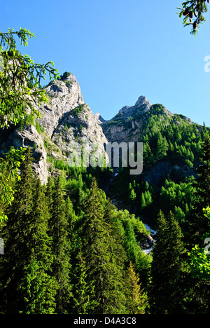 La natura del paesaggio in primavera Foto Stock