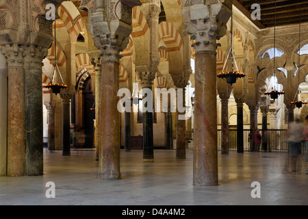 Colonne nella sala da preghiera dentro la Grande Moschea di Cordova Foto Stock