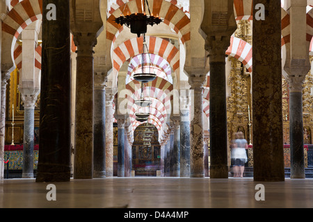 Colonne nella sala da preghiera dentro la Grande Moschea di Cordova Foto Stock