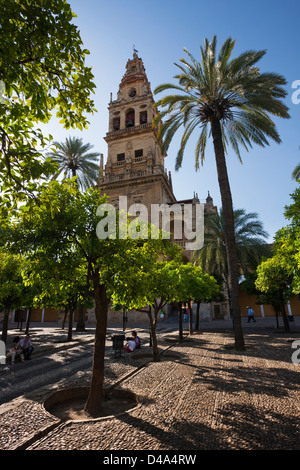 Cortile interno - Patio de las Naranjas e minareto o campanile della Grande Moschea di Cordova Foto Stock