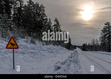 Segnale di avvertimento di attraversamento alci Lapponia Svezia Scandinavia Foto Stock