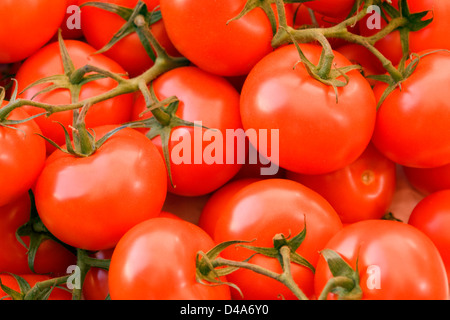 Full frame sfondo con i lotti di prodotti freschi pomodori rossi Foto Stock