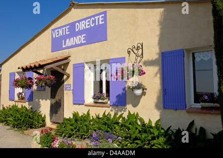 Negozio di lavanda al villaggio di Valensole. Alpes de Haute Provence. Provenza. Provenza-Alpes-Costa Azul. Francia Foto Stock