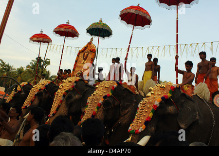 Tempio di elefanti in un festival, Kerala, India Foto Stock