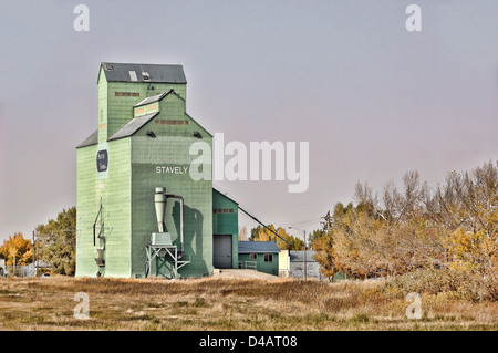 L'elevatore granella a Stavely, Alberta, Canada. Foto Stock