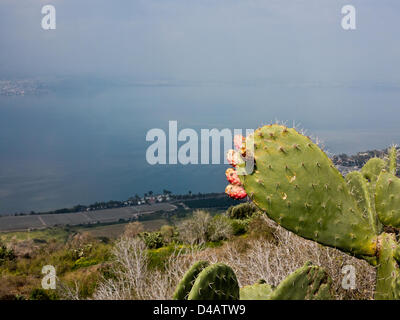 Una vista a ovest dalla pace Vista sulle alture del Golan illustra la vulnerabilità dei villaggi israeliani sulle rive del Mare di Galilea al di sotto e quello di Tiberiade sulla lontana riva occidentale, di aggressione militare da sopra. Alture del Golan, Israele. 10-Mar-2013. Una roccaforte siriano sul sud-occidentale di Golan, che è servito per il lancio di un razzo missile e incendio presso villaggi israeliani sulle rive del Mare di Galilea fino al 1967, è trasformato in pace Osservatorio Vista, a est del lago Kinneret. Foto Stock