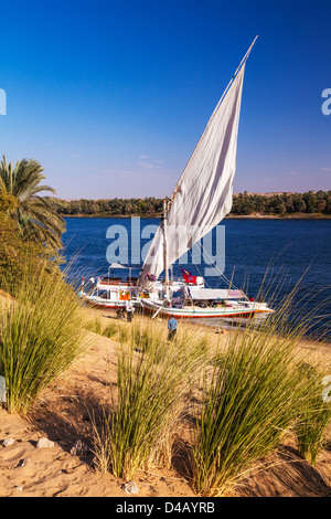 Tourist felucca e supporto barca ormeggiata lungo la sponda del Nilo vicino a Aswan all'alba. Foto Stock