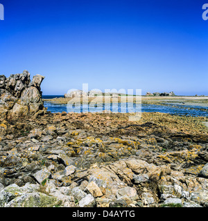 Rocce e 'Pors Scaff' bay a bassa marea 'Plougrescant' Bretagna Francia Foto Stock