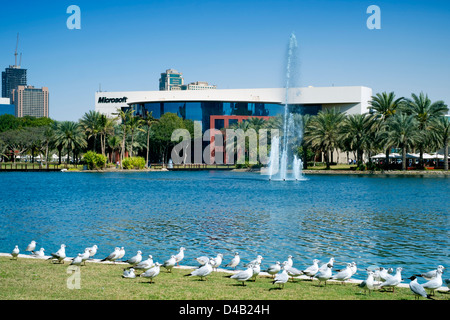 Vista sul lago di Microsoft building in Dubai Internet City negli Emirati Arabi Uniti EMIRATI ARABI UNITI Foto Stock