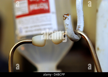 Stetoscopi utilizzati auscultazione (ascoltando i suoni interni del corpo) più spesso suoni cuore di respirazione. Foto Stock