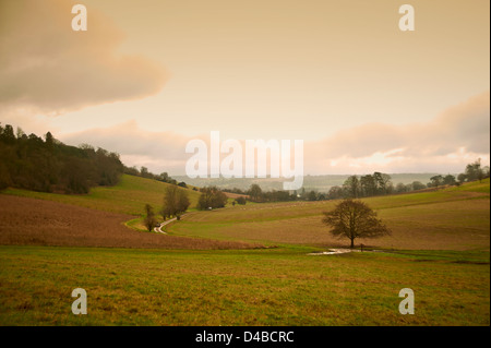 Paesaggio inglese Foto Stock