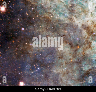 Hubble cattura immagini dettagliate della Nebulosa Tarantula (NGC 2070) nella regione di formazione stellare del 30 Doradus, offrendo informazioni sulla nascita di nuove stelle. Foto Stock