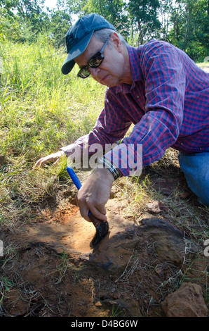 Un'impronta di dinosauro Nodosaur scoperta al Goddard Space Flight Center della NASA a Greenbelt, MD, è confermata come un autentico fossile del periodo Cretaceo. L'impronta è significativa per la ricerca paleontologica. Foto Stock