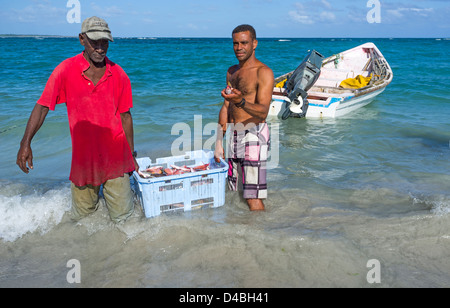 I pescatori locali lo scarico delle loro catture di pesce fresco in Vieux Fort St Lucia Foto Stock