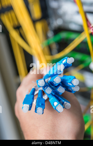 Mano di amministratore mazzetto di contenimento di cavi di fibre ottiche con connettori Foto Stock