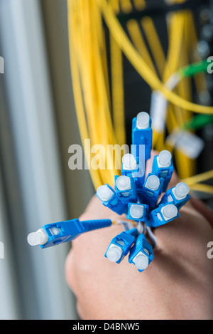 Mano di amministratore mazzetto di contenimento di cavi di fibre ottiche con connettori Foto Stock