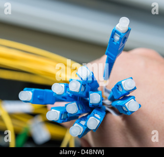 Mano di amministratore mazzetto di contenimento di cavi di fibre ottiche con connettori Foto Stock