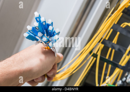 Mano di amministratore mazzetto di contenimento di cavi di fibre ottiche con connettori Foto Stock