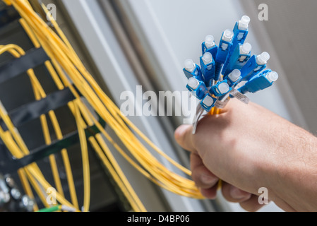 Mano di amministratore mazzetto di contenimento di cavi di fibre ottiche con connettori Foto Stock