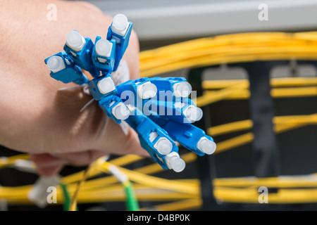 Mano di amministratore mazzetto di contenimento di cavi di fibre ottiche con connettori Foto Stock