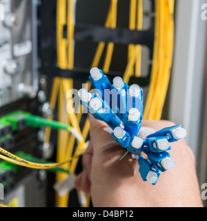 Mano di amministratore mazzetto di contenimento di cavi di fibre ottiche con connettori Foto Stock