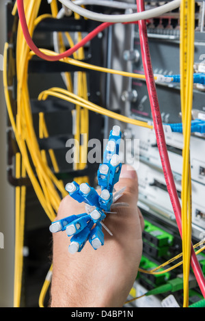 Mano di amministratore mazzetto di contenimento di cavi di fibre ottiche con connettori Foto Stock