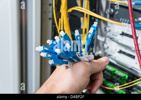 Mano di amministratore mazzetto di contenimento di cavi di fibre ottiche con connettori Foto Stock