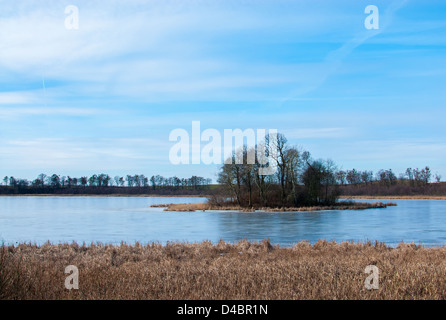 Isola del lago Foto Stock
