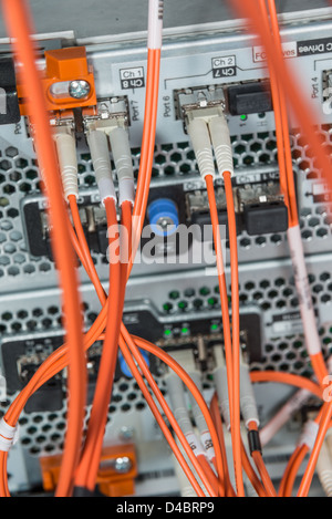 Server con cavi a fibra ottica nel centro dati Foto Stock