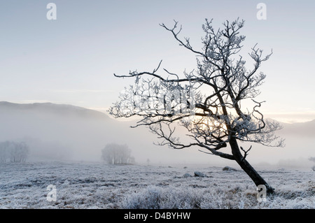 Il pupazzo di neve il meteo a Glenfinnan nelle Highlands scozzesi Foto Stock