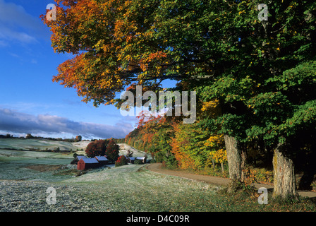 Elk280-1419 Vermont, South Woodstock, Jenne Farm, with dusting of snow Foto Stock