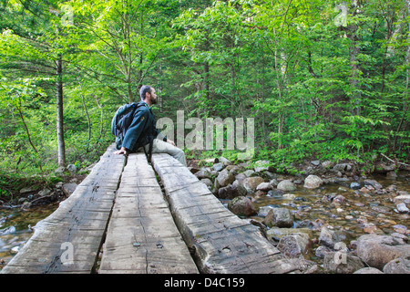 Passerella in legno lungo il Saco Lago Trail a Crawford tacca State Park, New Hampshire USA Foto Stock