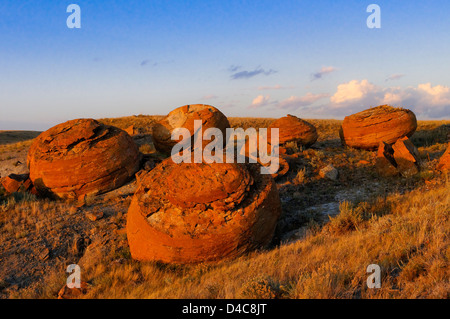 Grandi concrezioni di pietra arenaria, Red Rock Coulee Area Naturale, Alberta, Canada Foto Stock