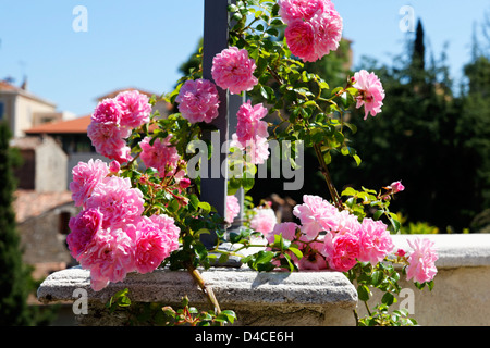 Le Bar-sur-Loup, Alpes-Maritimes, Cote d'Azur, Provence, Francia Foto Stock