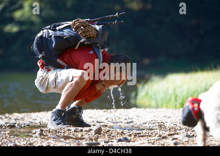 Escursionista con il cane a Feldsee, Blackwood foresta, Baden-Wuerttemberg, Germania, Europa Foto Stock