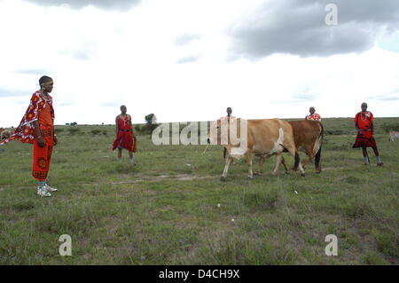 Un gruppo di Maasai è raffigurato con i loro animali nel distretto di Kajiado in Kenya, 04 dicembre 2007. Foto: Sandra Gaetke Foto Stock