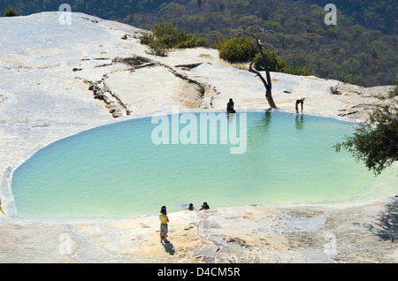 Una delle piscine di Hierve el Agua sorgenti minerali, Oaxaca, Messico. Foto Stock