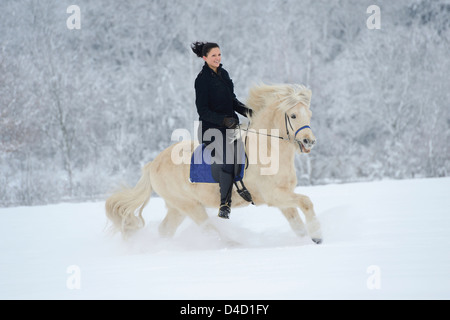 Giovane donna a cavallo nella neve Foto Stock