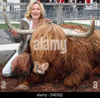 Attrice tedesca Suzanne von Borsody pone con un altopiano di bestiame al santuario degli animali Gut Aiderbichl vicino a Salisburgo, Austria, 06 aprile 2008. Scattare la foto ha preso posto precedendo la nastratura di diffusione in Eurovisione "Gut Aiderbichl - il cuore di oro per animali" dalla TV austriaca ORF di stazione per essere teletrasmesso il 31 maggio. Foto: Ursula Dueren Foto Stock