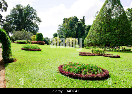 Royal Botanic Gardens, istituito nel 1843 con piante portate da Kew Garden, Isola di slave,Colombo,Peradeniya,Sri Lanka,Ceylon Foto Stock