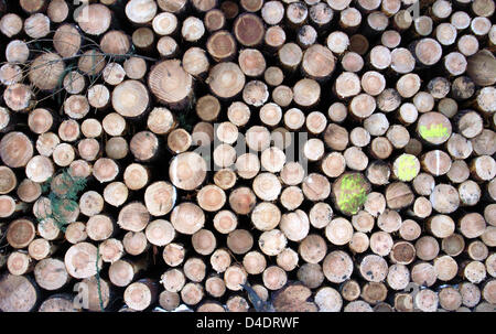 (Dpa) file - Il file immagine datata 07 luglio 2006 mostra impilati tronco di albero pronto per il trasporto in Frankfurt Main, Germania. Foto: Frank Rumpenhorst Foto Stock