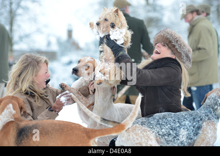 Due signore sollevare i loro Norfolk Terrier cane lontano da curiosi hounds nel corso di una riunione del Beaufort Hunt in Badminton Park J Foto Stock