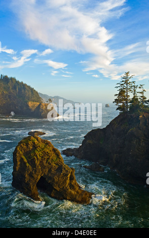 Oregon Coast a sud di ponti naturali Viewpoint, Samuel H. Boardman parco dello stato. Foto Stock