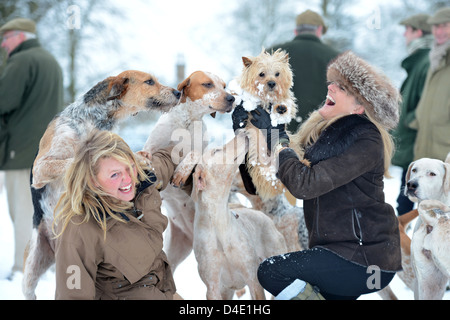 Due signore sollevare i loro Norfolk Terrier cane lontano da curiosi hounds nel corso di una riunione del Beaufort Hunt in Badminton Park J Foto Stock