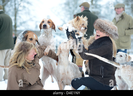 Due signore sollevare i loro Norfolk Terrier cane lontano da curiosi hounds nel corso di una riunione del Beaufort Hunt in Badminton Park J Foto Stock