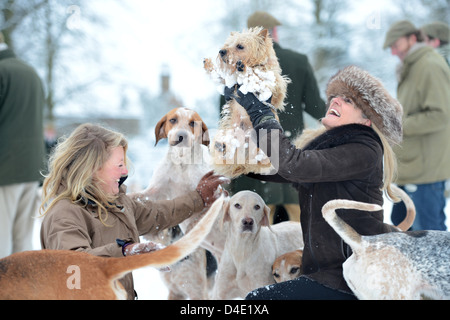 Due signore sollevare i loro Norfolk Terrier cane lontano da curiosi hounds nel corso di una riunione del Beaufort Hunt in Badminton Park J Foto Stock