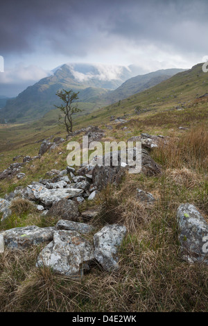 Vista di Gallt y Wenallt coperti in cloud, Snowdon gamma, Galles. Foto Stock