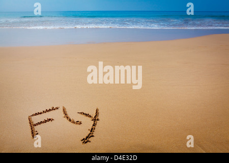 Parola volare scritto nella sabbia sulla spiaggia tropicale Foto Stock