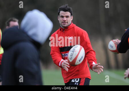 Mike Phillips durante il Galles rugby allenamento della squadra al Vale Hotel e Resort a Cardiff questo pomeriggio davanti a loro Sei Nazioni showdown con Inghilterra durante il fine settimana. Foto Stock