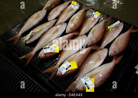 L'Honolulu asta del pesce e il mercato a Pier 38 Foto Stock